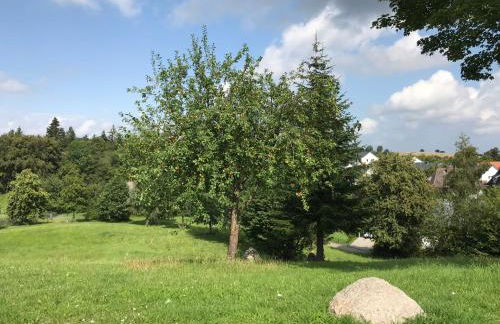 Ferienhaus Vogelberg - Foto 8