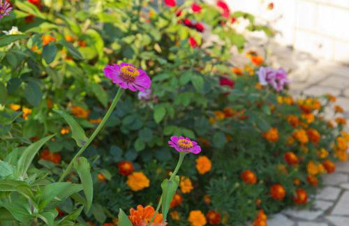 Vila Renato - Photo 44