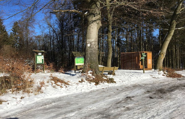 Familienfreundlicher Urlaub im Landhaus Obergude - Foto 20