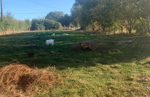 logement indépendant LE POULAILLER proche Guédelon - Foto 12
