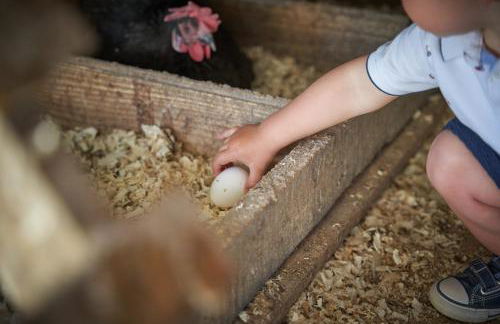 Agriturismo Antico Loggiato - Foto 38