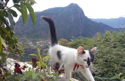 Casa Shalom - Foto 20