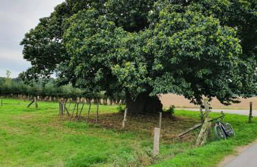 Ferienwohnung Niederrhein - Foto 31