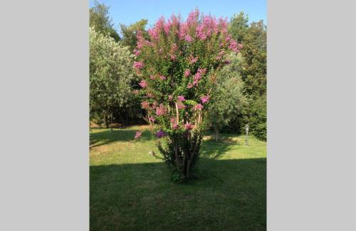 Villa Belvedere-Con piscina a Bardolino - Foto 9