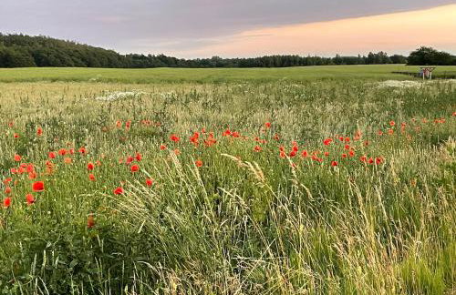 Przystanek Puck - Photo 36