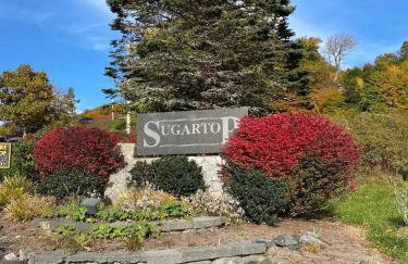 Altitude Adjustment atop Sugar Mountain at Sugar Top - Foto 41