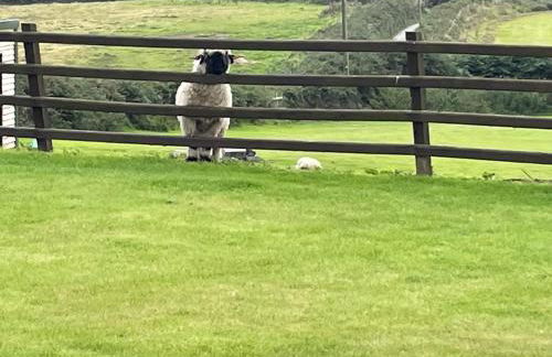 Sea View Fields Trearddur - Foto 17