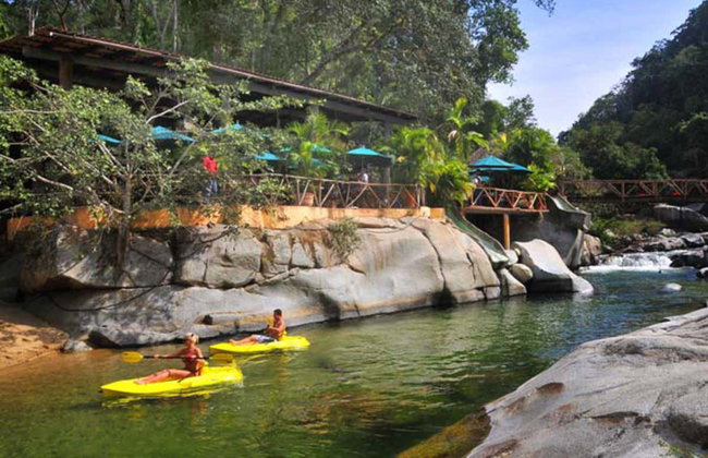 Jungle Zipline Adventure - Foto 3