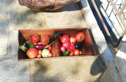 Stone house 1883 Kymi with pool - Photo 48