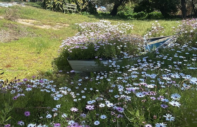 90 Mile Beach House & Villas - Foto 20