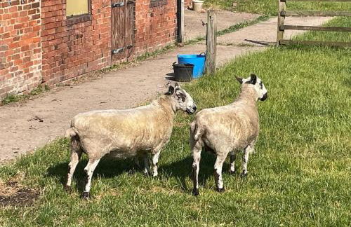 The Beautiful Barn - Foto 40