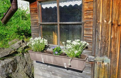 Ferienwohnungen Kappeler - Foto 11