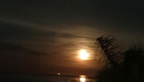 Acqua di Mare - Foto 5