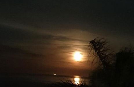 Acqua di Mare - Foto 5