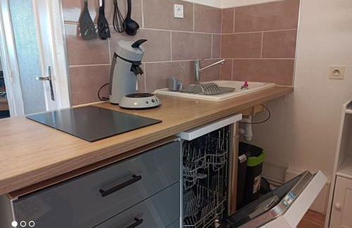 Appartement 2 P 5 PER ENTRE BEAUVAL & CHENONCEAU - Foto 12