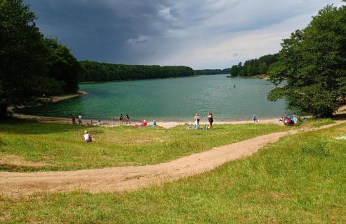 Scandinavian-style lake house - Photo 26