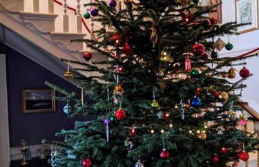 The Writer's Retreat Ground Floor Apartment - Photo 2