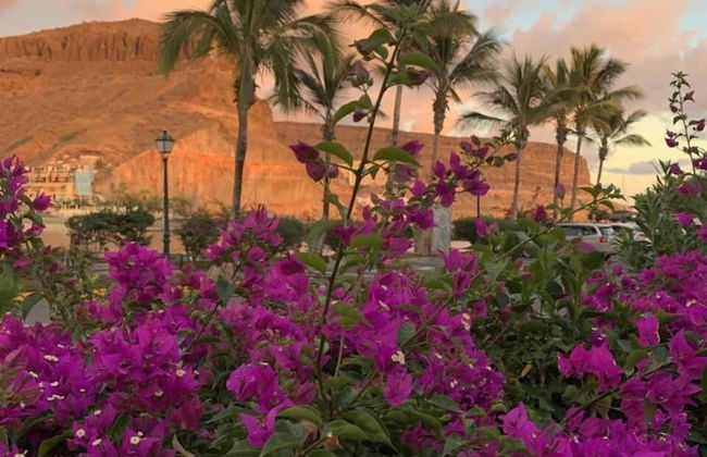 Ilios de Mogán 4 - With Terrace - Photo 25