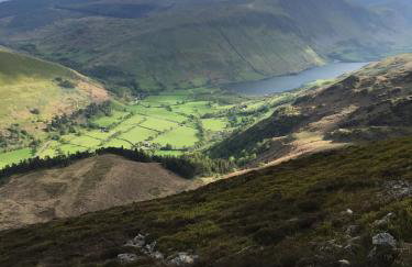 Healing Pastures Farm - Foto 32