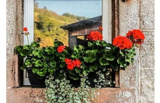 Lovely Apartment in Baden-wurttemberg - Foto 7