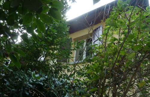 LA STANZA SUI CEDRI - Smart working - Airport - Private Parking - Ducati - Philip Morris - Foto 26