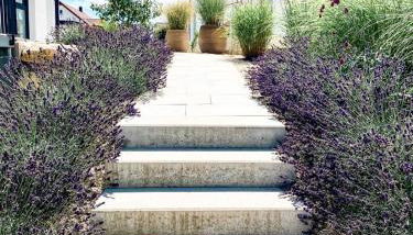 Ferienwohnung Bodensee Nenzingen Hegau - Foto 4, Garden