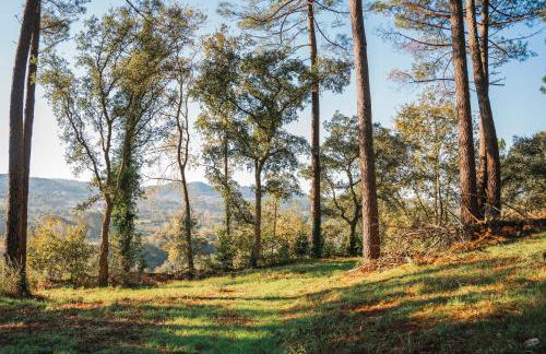 Solar das Bouças by Quantique - Foto 55