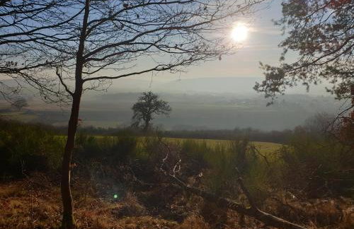 Exklusive Ferienwohnung Bad Salzschlirf - direkt am Waldrand - großer Garten kompett umzäunt - Hunde willkommen - 2 private Stellplätze - Foto 80