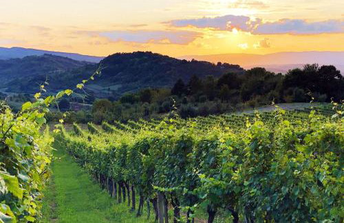 Rural Homestead Trenkovo - Happy Rentals - Photo 82