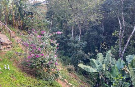 Chácara Recanto da Paz - Photo 68