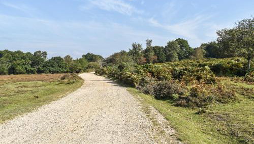 The Cottage At Dockens Water - Foto 2