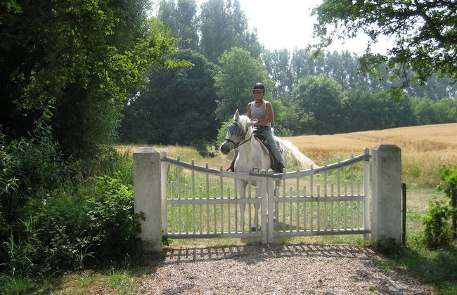 Ferienhof Gut Oestergaard - Photo 46