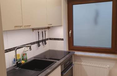 Ruhige 80 m2 Duplexwohnung mit Garten, 2 Bädern und Parkplatz nahe Innenstadt - Photo 3