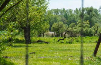 Apartmenthaus Kaiser Friedrich - Foto 57