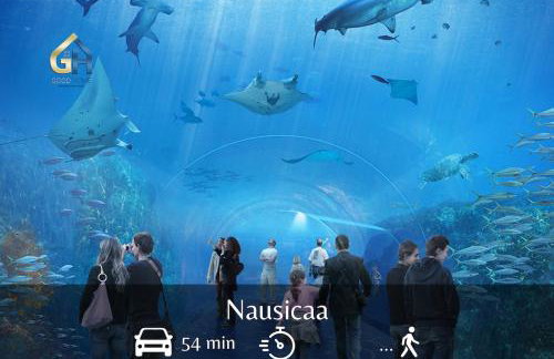 Baroquissime - Foto 18