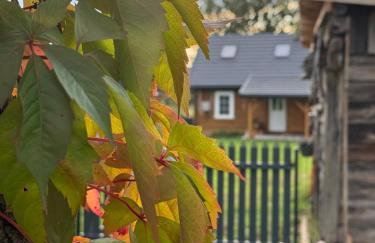 Na wsi Zalesie 53 - Foto 44