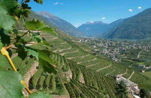 Casa Giuliana - Foto 18