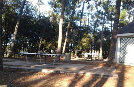 Appartement vue sur golf - Foto 34