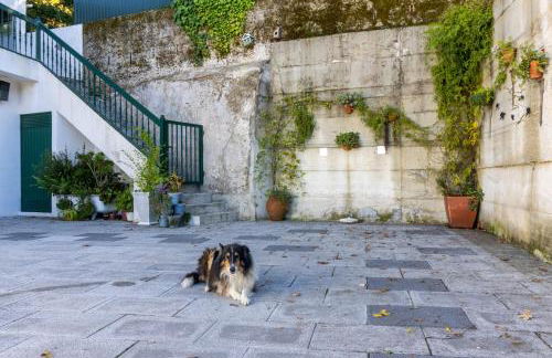 Gouveia Forest Guest House - Foto 18