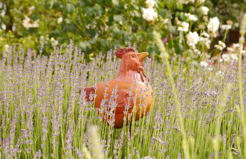 Ferienwohnung in Lowensen mit Eigener Terrasse - Foto 68