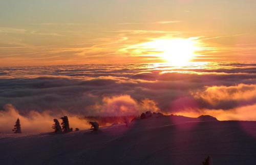 Maier Chalet - Foto 15