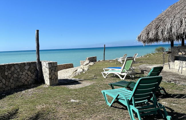 The Belair - Photo 59