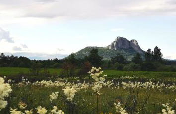 Wooden House Sveti Rok - Foto 28