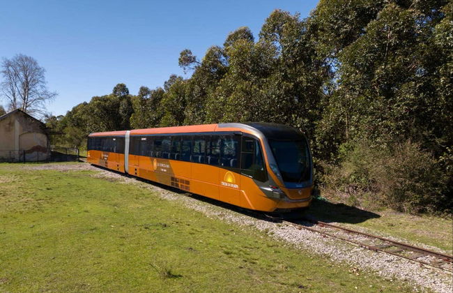 Paseo en el Tren de Pampa + Visita a la bodega Almadén - Foto 7