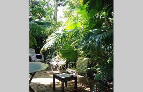 The Wild Rose - Foto 22