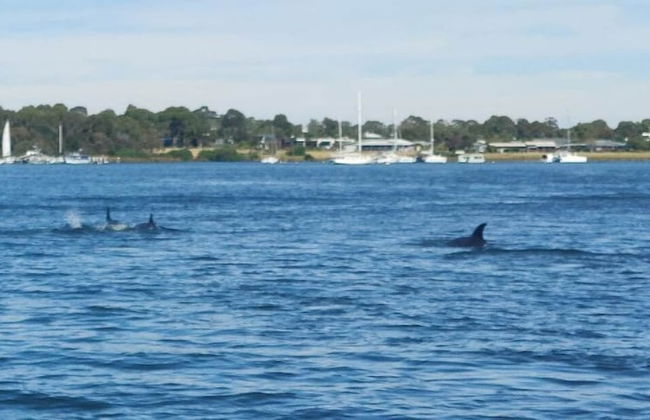 Captains Edge - Photo 22