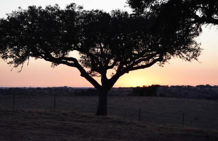 Agroturismo Xistos - Foto 61