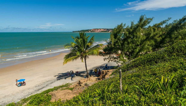 Escursione alle spiagge di Carapibus, Tabatinga e Bela - Foto 2