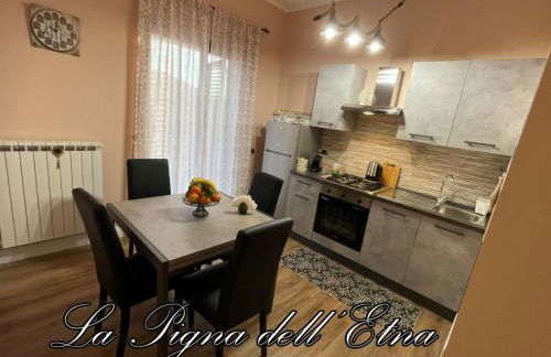 La Pigna dell'Etna - Foto 9