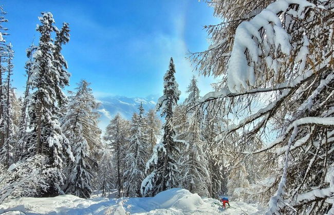 Montreux holiday home - Foto 61